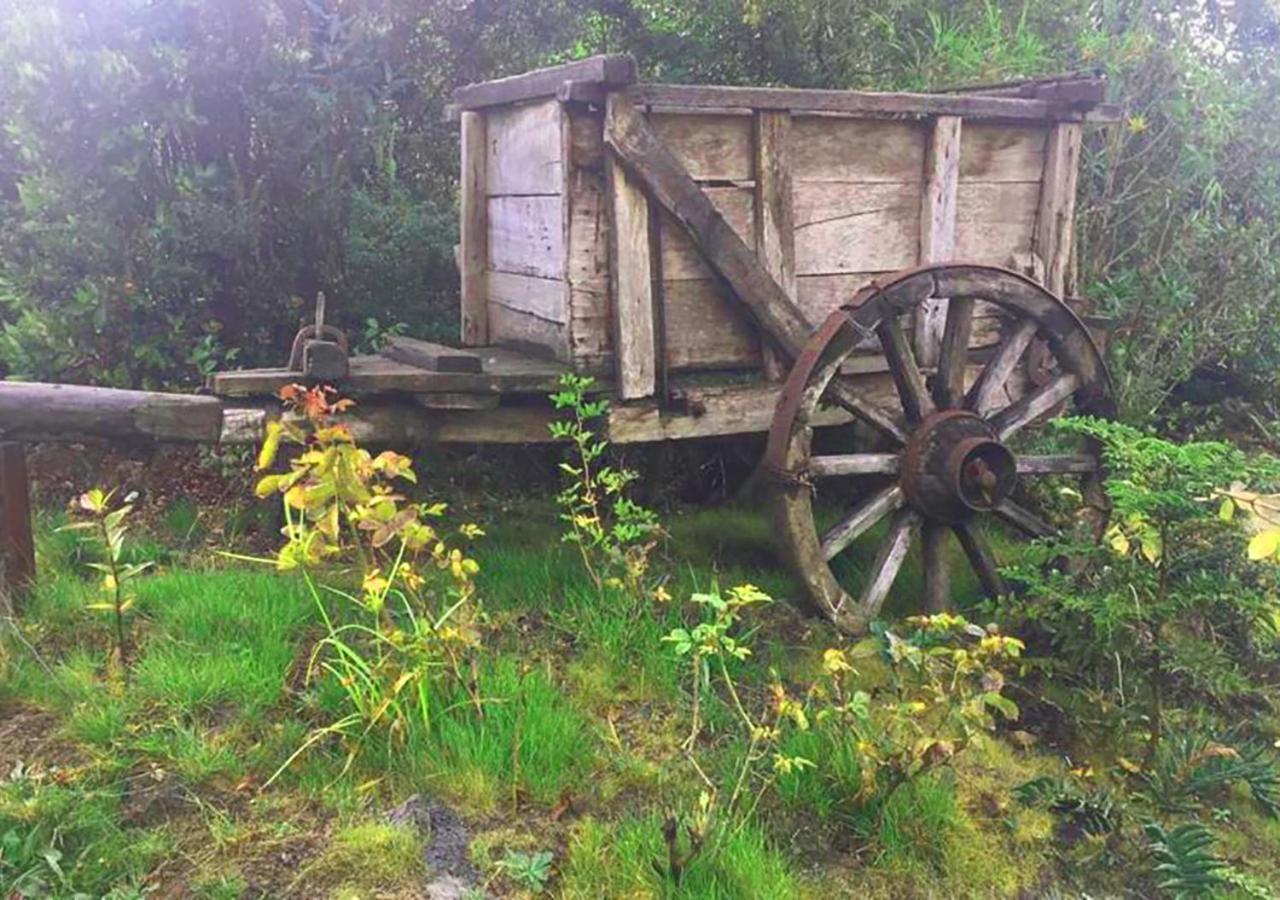 Cabañas Los Cantos del Chucao Puerto Varas Exterior foto
